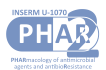 Site Web du PHAR2