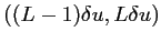 $\displaystyle ((L-1)\delta u,L\delta u)$